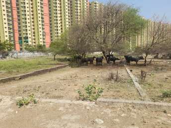 Plot For Resale in Para Lucknow  7285928