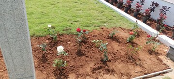 Plot Area in  Plot at Harichandana Mayfair Villas, Shadnagar – for Sale