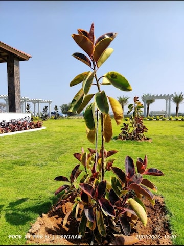  Plot – Garden View at Harichandana Mayfair Villas, Shadnagar - for Sale