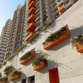 1 BHK Apartment For Rent in Shapoorji Pallonji Virar Palm Grove Bolinj Mumbai  7286182