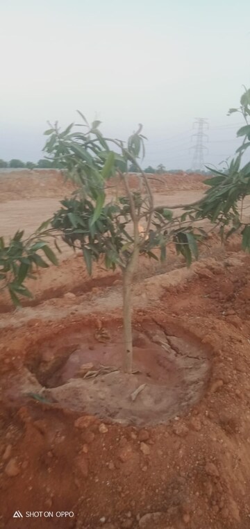   Plot at Shadnagar – for Sale