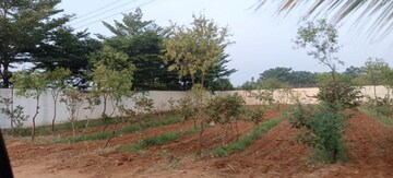 Plot Area in  Plot at Harichandana Mayfair Villas, Shadnagar – for Sale