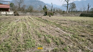 Plot Area in  Plot at Raipur – for Sale