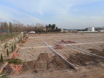  Plot For Sale in Gill Colony