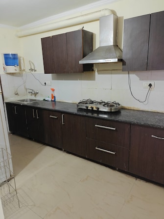 2 BHK Apartment For Rent in Maya Garden City Lohgarh Zirakpur  7286564