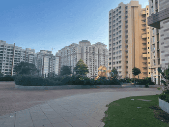 1 BHK Apartment For Rent in Vijay Orovia Hiranandani Estate Thane  7286742