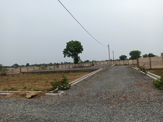 Plot For Resale in Chhatauna Bilaspur  7286863