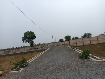 Plot For Resale in Chhatauna Bilaspur  7286863