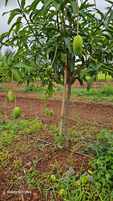  Plot – Garden View at Shankarpalli - for Sale