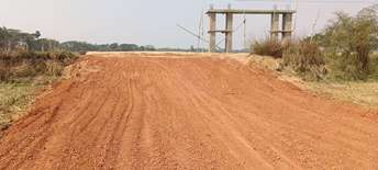 Plot For Resale in Nakhara Bhubaneswar  7287335