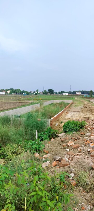 Plot Area in  Plot at Chinhat – for Sale