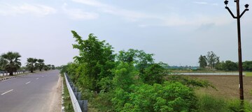 Plot For Sale in Chinhat