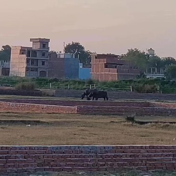  Plot For Sale in Kalli Paschim