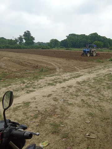 Plot Area in  Plot at Kamta – for Sale