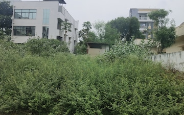 Plot For Sale in Pothinamallayya Palem