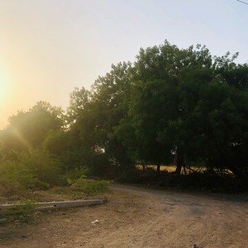  Plot For Sale in Science City