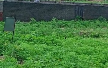 Plot For Sale in Shahastradhara Road