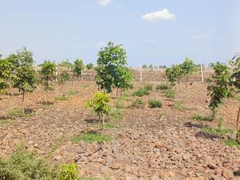 Plot For Resale in Narayankhed Hyderabad  7289313