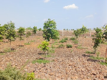  Plot For Sale in Narayankhed