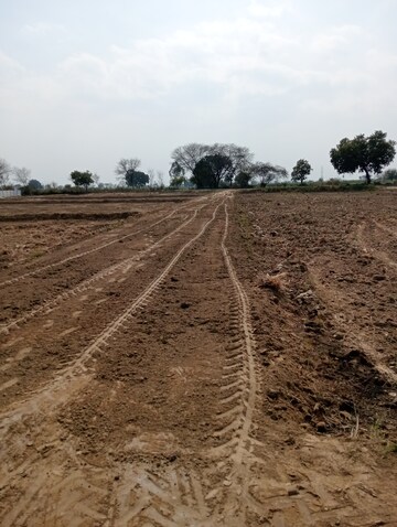 Plot Area in  Plot at Govardhan Road – for Sale