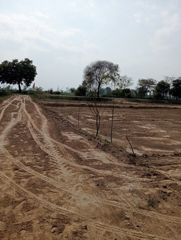  Plot – Nearby View at Govardhan Road - for Sale
