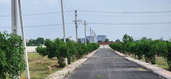 Plot For Resale in Perams Aditya Adhyata Shamirpet Hyderabad  7289801