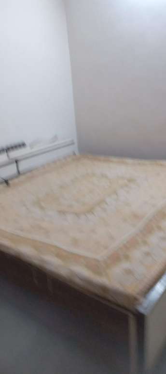 2.5 BHK Builder Floor For Rent in Sector 15 Noida  7289860