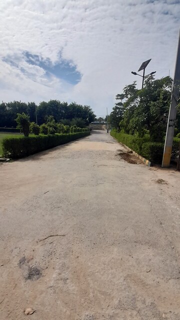  Plot For Sale in Jewar