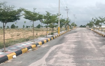 Plot For Sale in Feelkhana