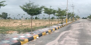  Plot For Sale in Film Nagar