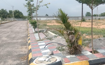 Plot For Sale in Auto Nagar