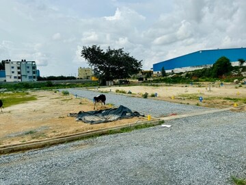  Plot For Sale in Ck Palya