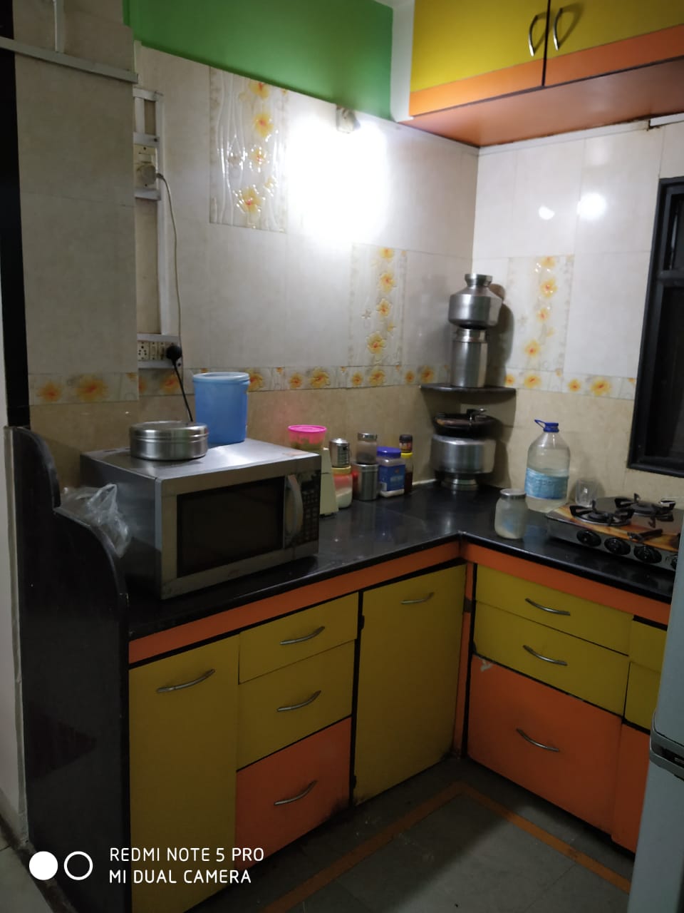 1 BHK Apartment For Rent in Bund Garden Road Pune  7290416