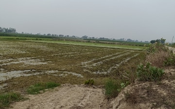 Land For Sale in Sector 8