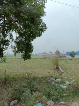 Commercial Land 600 Sq.Yd. For Resale in Chadau Mohalla Panipat  7290471