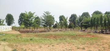 Plot For Resale in Mothighanapur Hyderabad  7290532