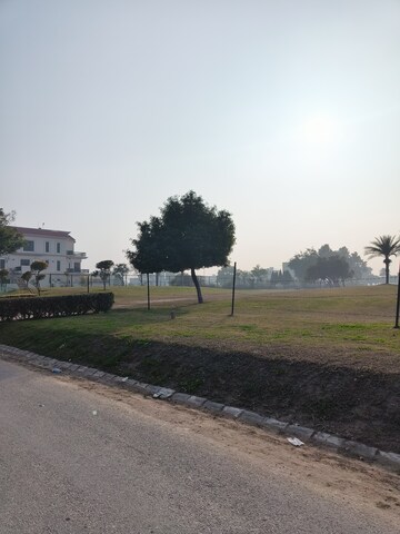 Plot Area in  Plot at Sector 109 – for Sale