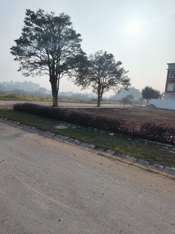Plot Area in  Plot at Sector 109 – for Sale