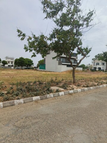  Plot For Sale in Sector 105