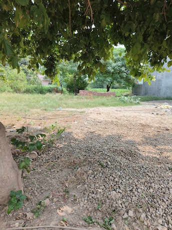 Plot For Resale in Sector 85 Mohali  7290736