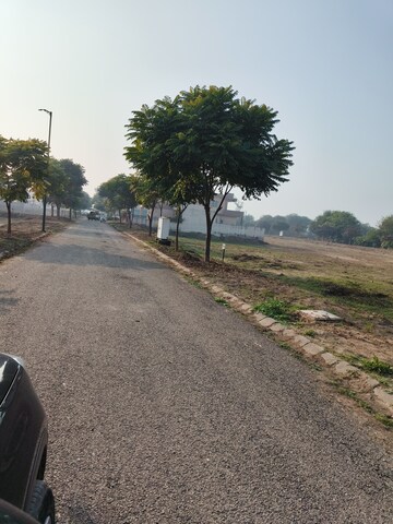 Plot Area in  Plot at Sector 117 – for Sale