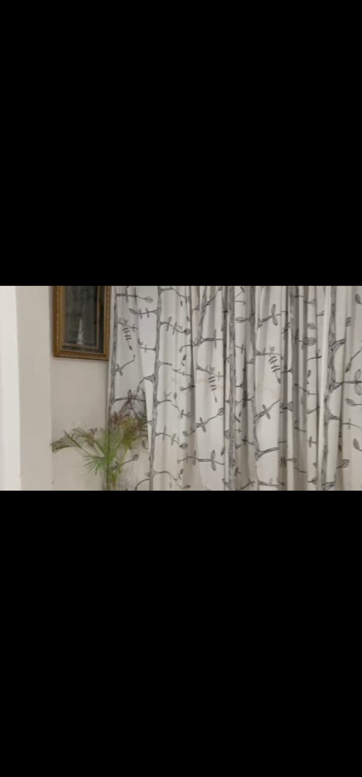 Room, dev-sai-building 1 Bedroom 350 Sq.Ft. Apartment In Andheri West Mumbai 7291115