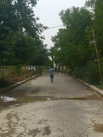  Plot – Exterior View View at Omaxe Metro City, Kalli Paschim - for Sale