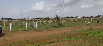 Plot Area in  Plot at Ojhar – for Sale