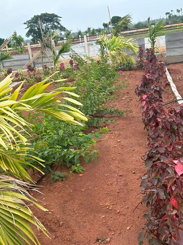  Plot For Sale in Sri Bhumi Eeshaanya, Kankipadu