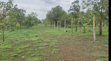 Plot Area in  Plot at DLF Alameda, Sector 73 – for Sale
