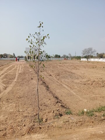 Plot Area in  Plot at Chhata – for Sale