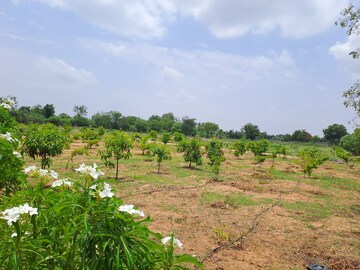  Plot For Sale in Bibinagar