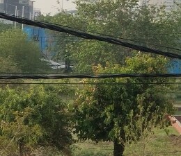 Plot For Sale in Tappal