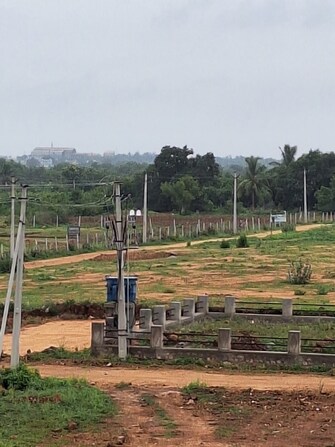 Plot For Resale in Warangal Highway Hyderabad  7293427